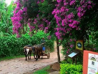 Hospedaria Das Brisas Praia do Rosa 3*,